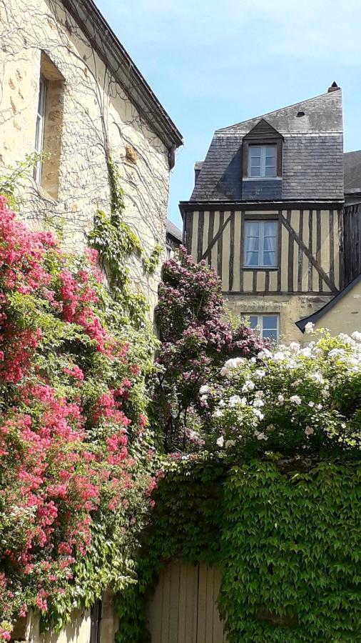 Petite Maison Romantique Au Calme, Coeur Historique Plantagenet, Vue Ville Le Mans Eksteriør billede