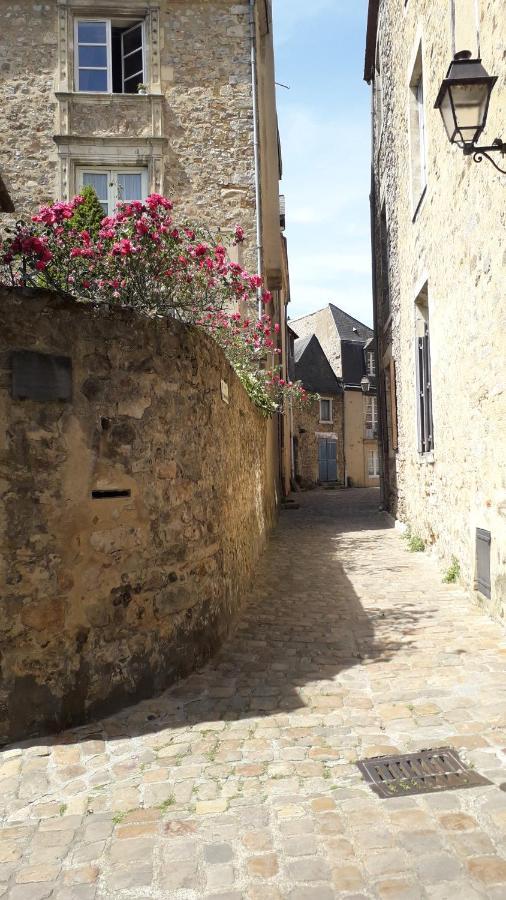Petite Maison Romantique Au Calme, Coeur Historique Plantagenet, Vue Ville Le Mans Eksteriør billede